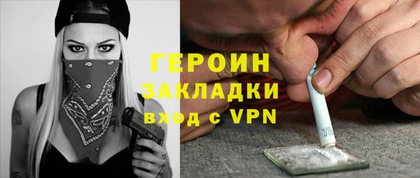 дмт Богданович