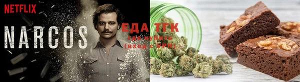 дмт Богданович