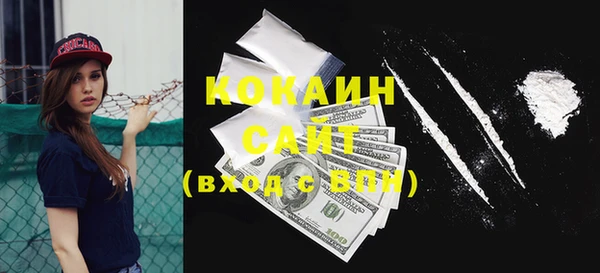 сатива Богородск
