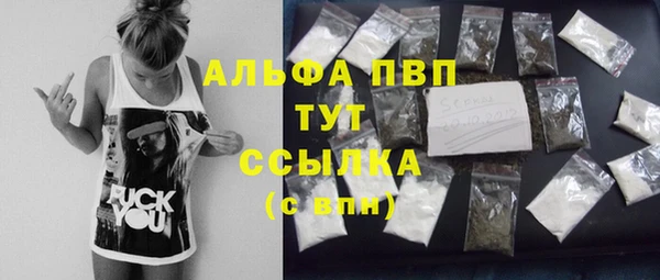 шишки Богородицк