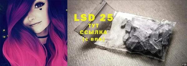 дмт Богданович