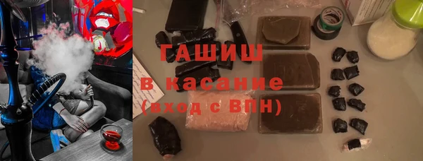 шишки Богородицк