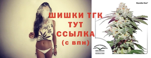 дмт Богданович