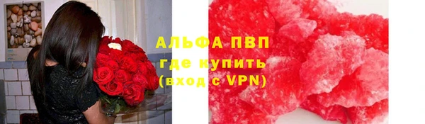 шишки Богородицк