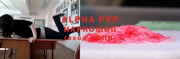 дмт Богданович