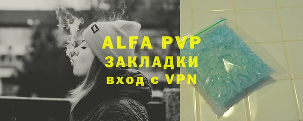 шишки Богородицк