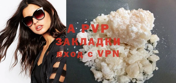 шишки Богородицк