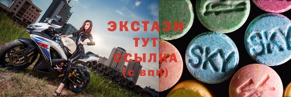 дмт Богданович