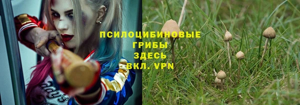 сатива Богородск
