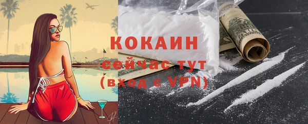 шишки Богородицк