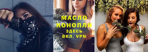 сатива Богородск