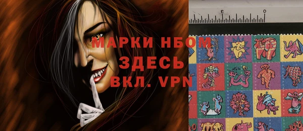 дмт Богданович