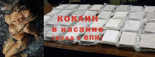 шишки Богородицк