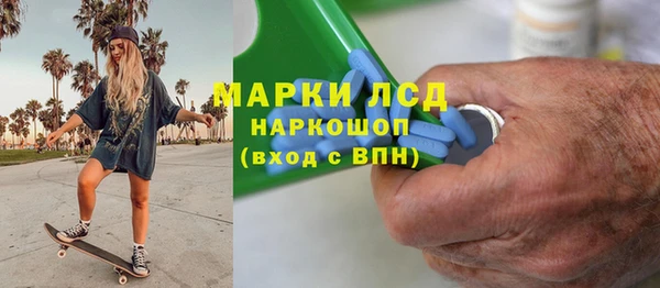 дмт Богданович