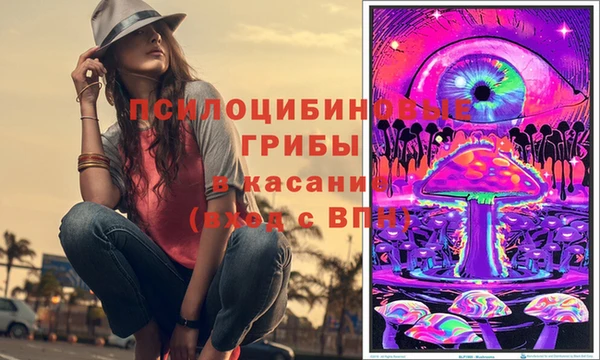 сатива Богородск