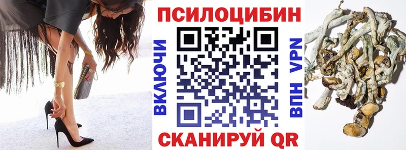 Купить закладки  Городовиковск  Галлюциногенные грибы мицелий 